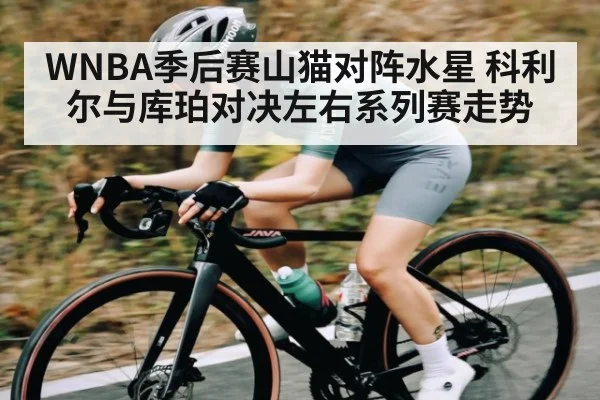 WNBA季后赛山猫对阵水星 科利尔与库珀对决左右系列赛走势