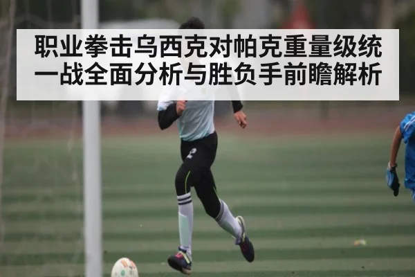 职业拳击乌西克对帕克重量级统一战全面分析与胜负手前瞻解析
