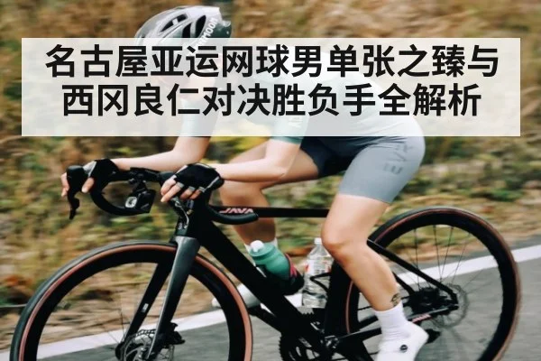 名古屋亚运网球男单张之臻与西冈良仁对决胜负手全解析